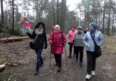 Zajęcia ruchowe w terenie 